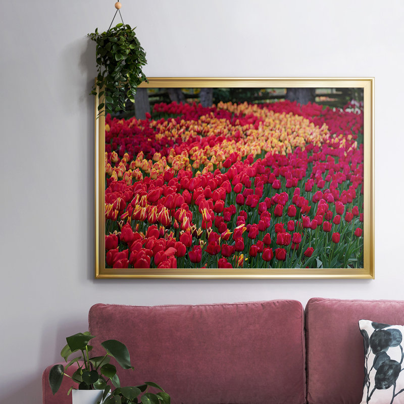 Field of Tulips II, reproduction d'art sur toile, Or, H 26 po x l 38 po x P 1,5 po