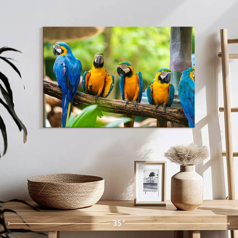 Brampt Macaw Party, 8" H x 12" W