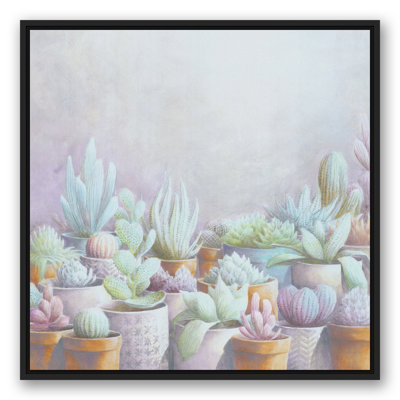 " Cactus Pots "