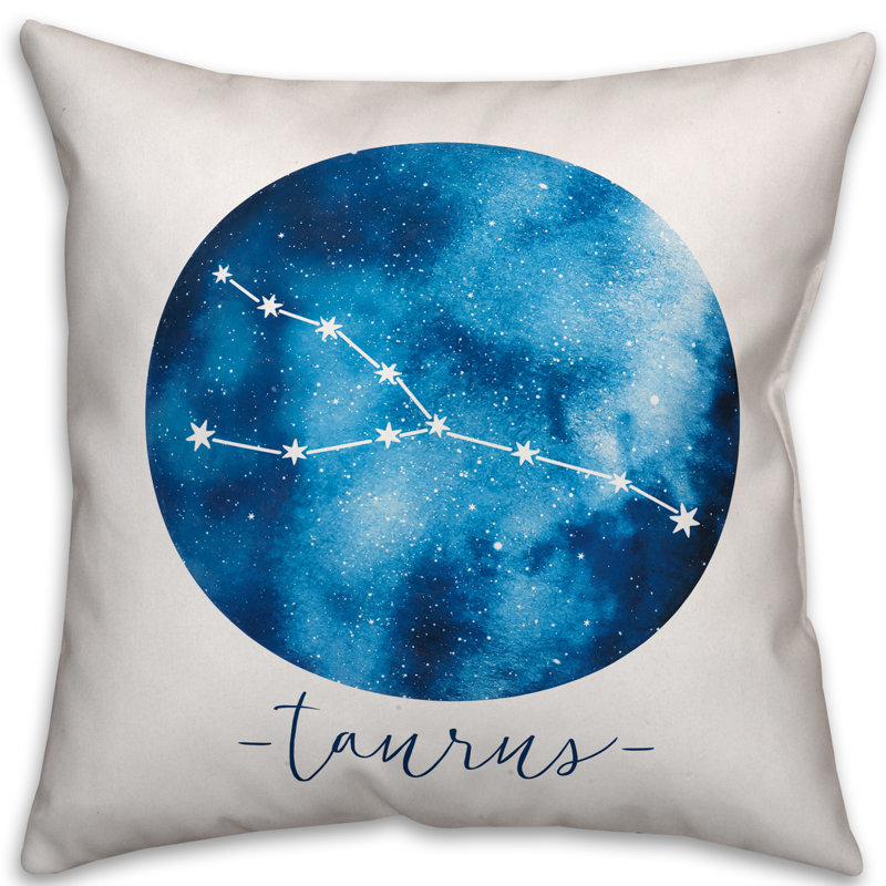  Coussin Taureau