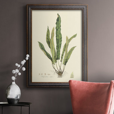 " Curtis Ferns IV " Painting Print