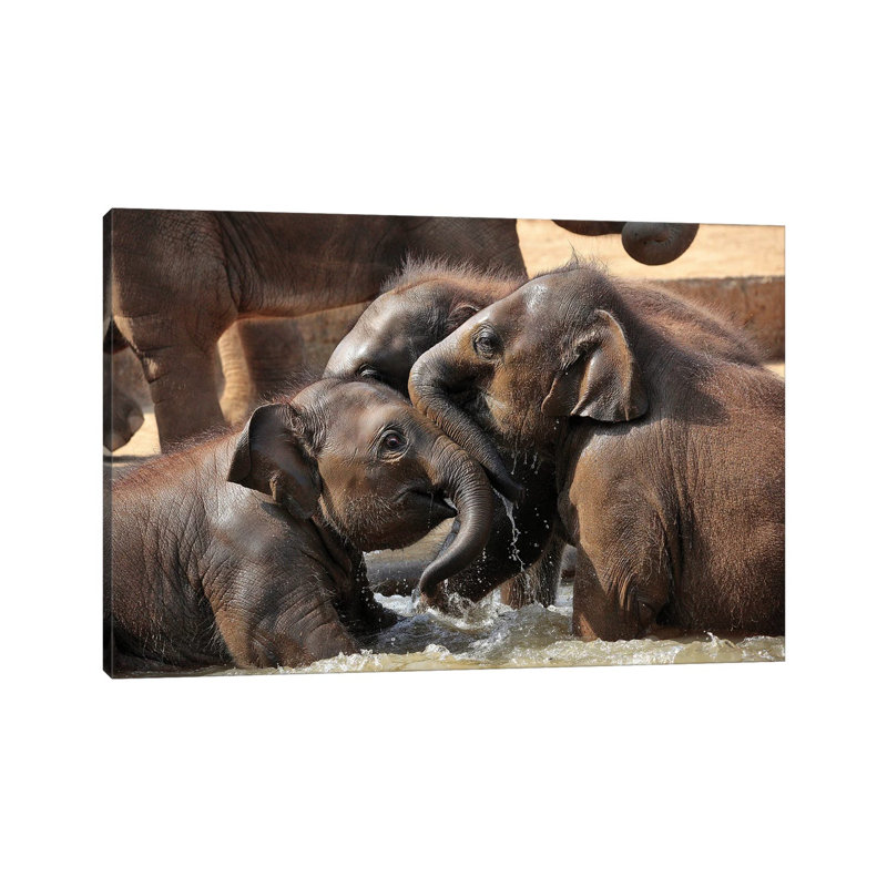 Water Fun by Antje Wenner-Braun - Wrapped Canvas Print, 66.04 cm H x 45.72 cm W x 1.91 cm D