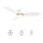 Smart Flush Mount Ceiling Fan with Light, Remote Control, DC Motor-70836688-93934863