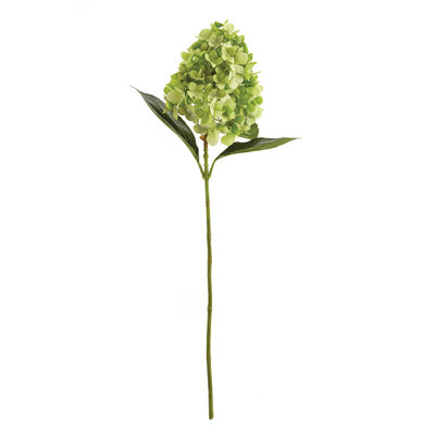 28-Inch Cone Hydrangea Stem
