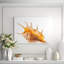 Spider Conch Shell Print-42494459