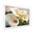 White Picture Framed