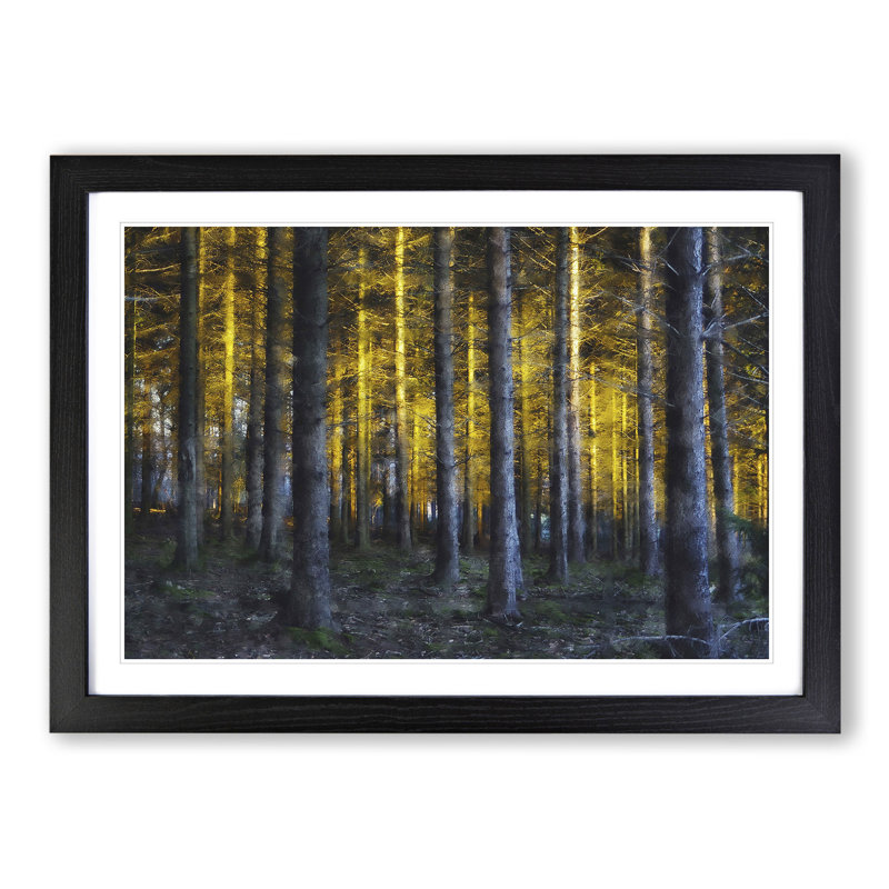 Sunlight Forest Vol.4 - Picture Frame Painting, Black Framed, 48cm H x 65cm W x 2cm D