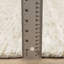 Tapis beige / ivoire Bellatrix-1716117695