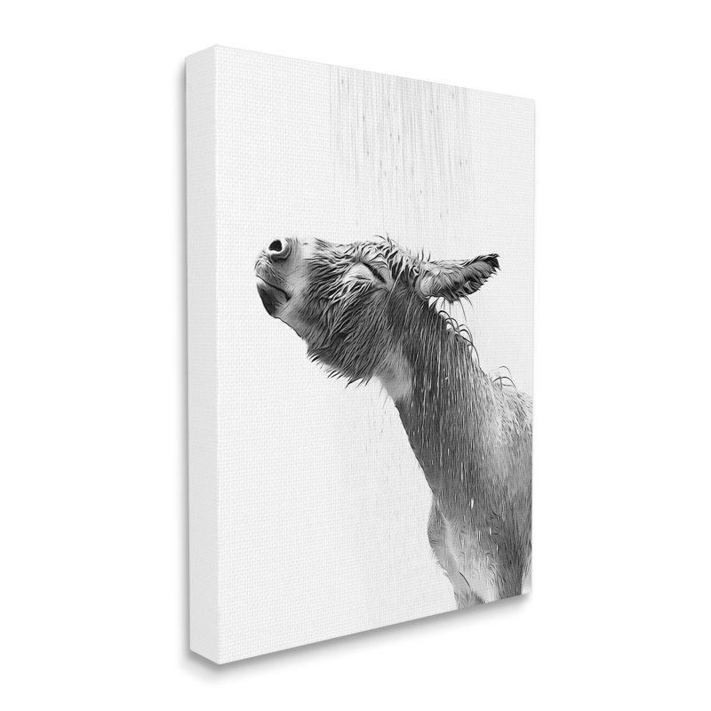 «Donkey Bathroom Splash» sur toile par Annalisa Latella, H 30 po x l 24 po x P 1,5 po