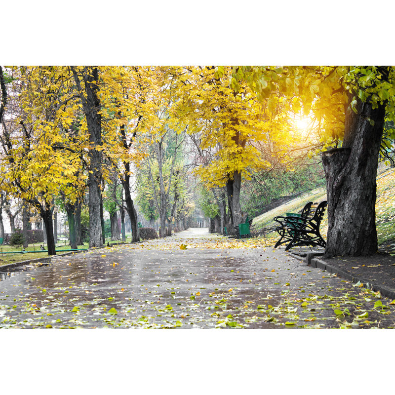 Alley in the Park - Photographie sur toile tendue, H 8 po x l 12 po