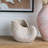 Sand And Cement Nautilus Shell Planter-1353923279