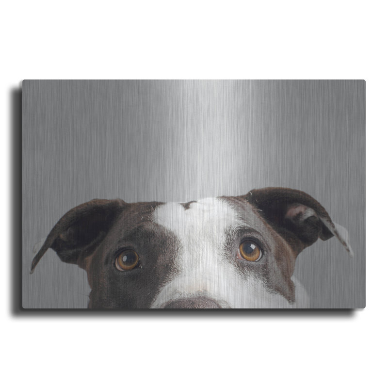 " Ruby " by Susan Sabo, 12" H x 16" W