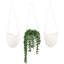 Hanging Planter-1498992678