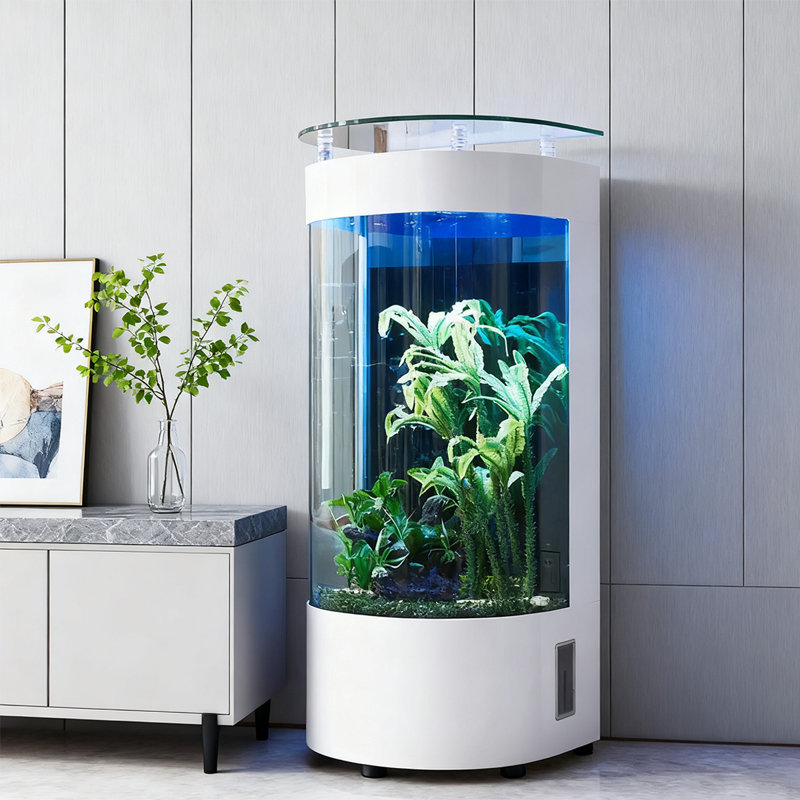 Aquarium semi-circulaire à filtration arrière avec barre supérieure, 52,83 gallons (H 54,33 po x l 39,37 po x P 19,69 p