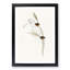 Emu Wrens by Elizabeth Gould - Picture Frame Painting Print-55539520-55539521