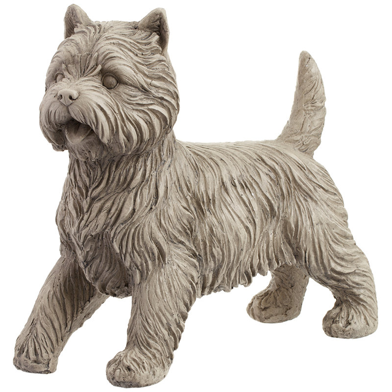 13,5 pouces Terrier Gy / ww