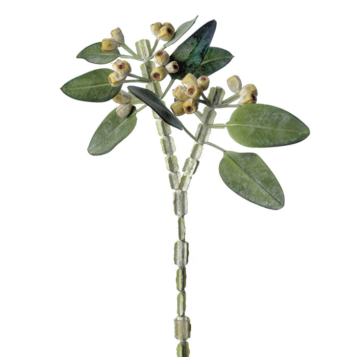 Arbre de pulvérisation eucalyptus à feuillage diy