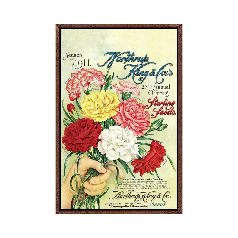 Sterling Seeds, 1911, From The Andersen Horticultural Library by Piddix - Print on Canvas, 152.5 cm H x 101.5 cm W
