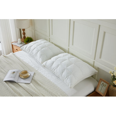 Ensemble de 2 coussins en duvet synthétique à soufflet soufflé Ellen Tracy