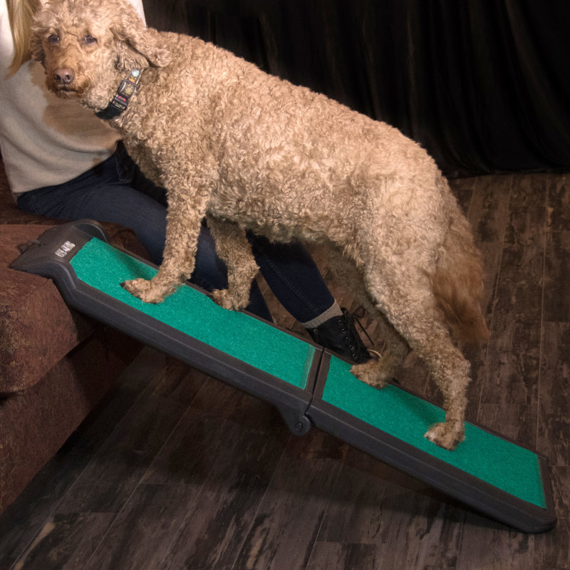 Portable Black and Green Bi-Fold Pet Ramp with Supertrax