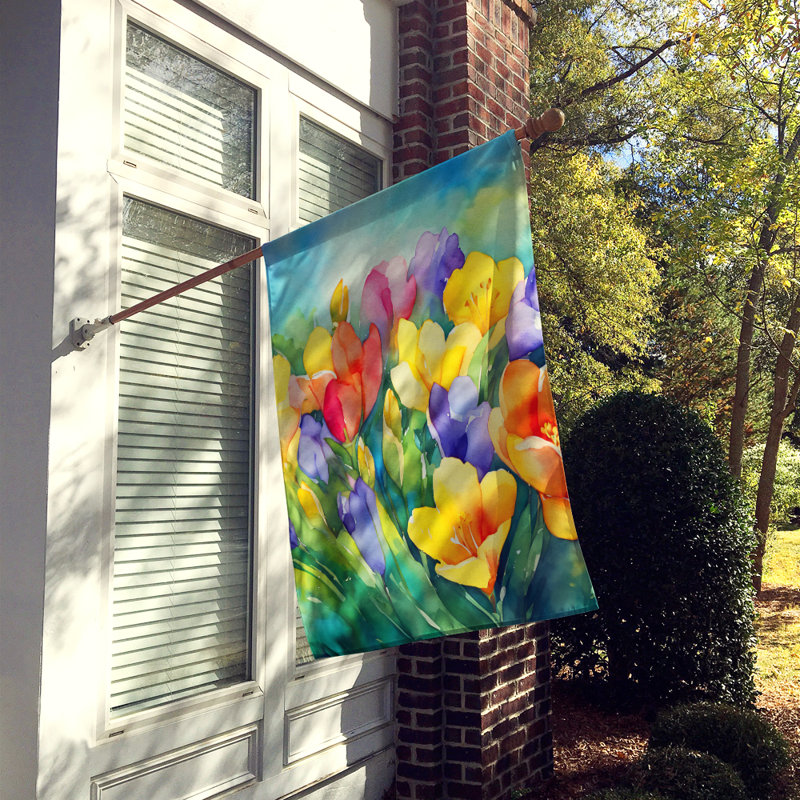 Double Sided 40'' H x 28'' W Polyester House Flag