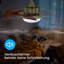 Alisha-Ann 75cm Ceiling Fan with Light Kit-905805414
