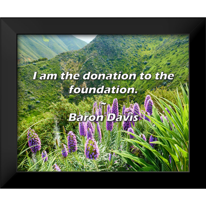 Citation du Baron Davis: Je suis le don à la fondation.