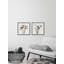 Dried Out Dandelion 2 Piece Single Picture Frame Painting-72532440