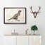Pigeon by Katsushika Hokusai - Picture Frame Painting Print-55583533-55583532