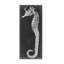 «Seahorse Blueprint I» par Vision Studio - reproduction d'art sur toile-209854429