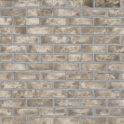 Carreau de mosaïque de sol en terre cuite texturée 2 po x 8 po Terabrik Subway