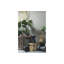 Borre Solid Wood Accent Stool