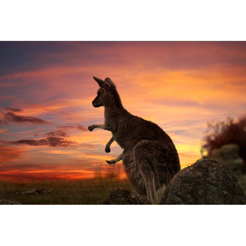Coucher de soleil sur un kangourou en Australie par Lovleah - Photographie sur toile tendue, L 12 po x H 8 po