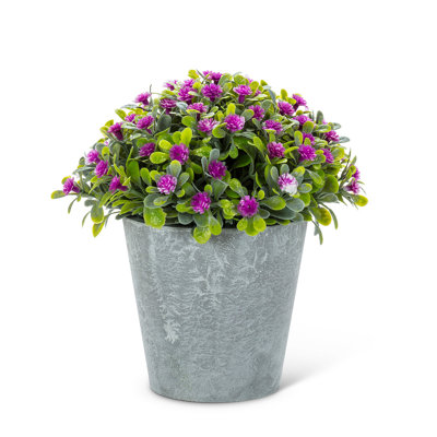 Arrangement floral mixte en pot