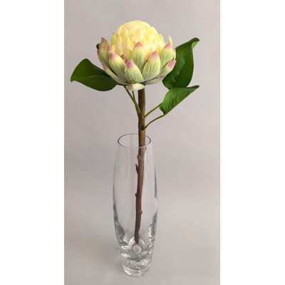 Protea King ronde de 16 po