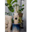 Mini Totem Pearls 250Ml Diffuser-2043003791