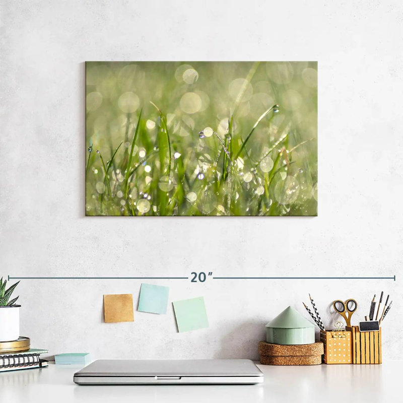 Harnek Raindrops On Grass Abstract, 8" H x 12" W