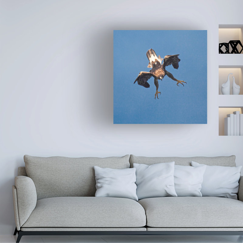 Gianfranco Barbieri Golden Eagle Canvas Art, H 14 po x l 14 po