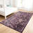 Vintage Burgundy Area Rugs 3x5ft, Washable Rug Non Slip, Low-Pile Soft Distressed Floor Mat for Living Room, Bedroom, Kitchen, Office, Dorm, Dinning Room-75374282