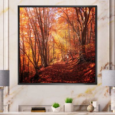 Colorful Trees In Autumn Forest - Landscapes Canvas Wall Art