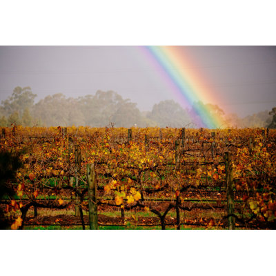 " Rainbow View " by Mrdavidthorley