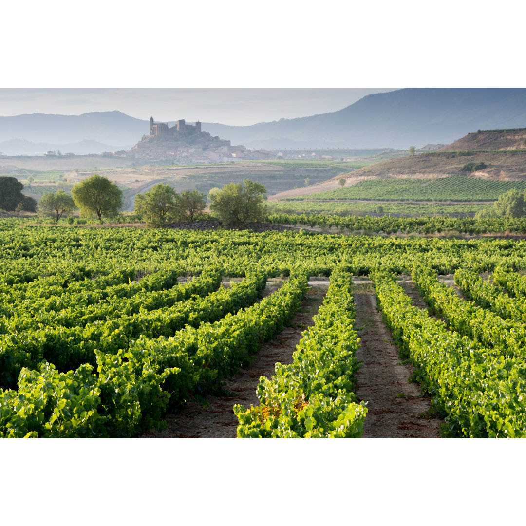 Leinwandbild Vineyard, La Rioja