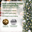 vidaXL Artificial Slim Christmas Tree with 150 LEDs Green-1272619580-1272619577