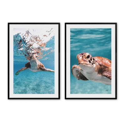 Sea Turtles' Path set of 2 Rolled Prints, 16" x 12"