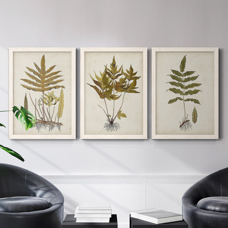 Fern Botanical I - Ensemble de 3 peintures sur toiles encadrées, H 43,5 po x l 31,5 po x P 1 po, Blanc
