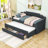 Nadia Upholstered Daybed-1637022201