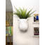 Wall Planter