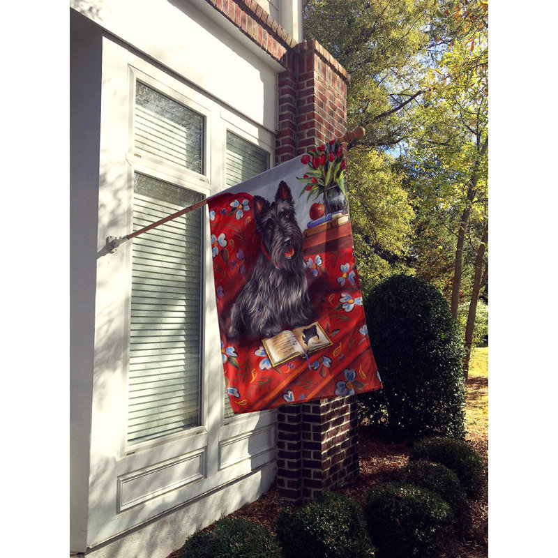 Drapeau de maison Hvidovre Sheltie Halloween en polyester à 2 faces 3 x 2 pi, Scottie petit Einstein