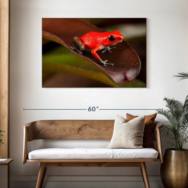 Crowle Poison Frog, 30" H x 45" W
