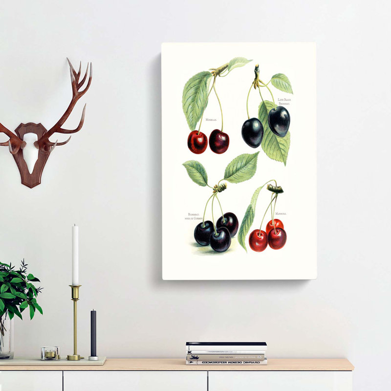 Vintage Illustrations Of Cherries - Wrapped Canvas Painting, 91cm H x 60cm W x 3cm D